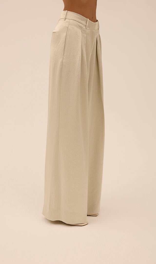 Double Pleat Wide Leg Trouser in Silver